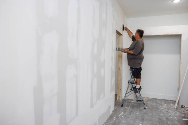 Best Stucco Painting  in USA